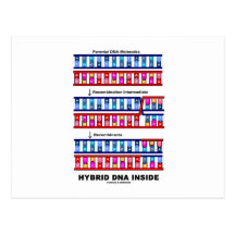 Hybrid DNA Inside (Recombinant DNA) Postcard