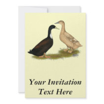 Hybrid Laying Duck Personalized Invite