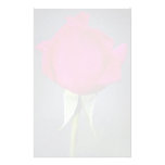 Hybrid Tea Rose 'Miss All American Beauty' Roses Stationery Paper