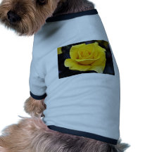 Hybrid Tea Rose White flowers Pet Clothes