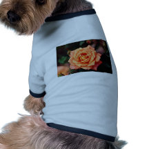 Hybrid Tea Rose Yellow flowers Pet Tee Shirt