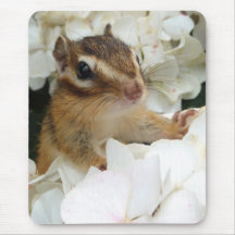Hydrangea and Chipmunk (2) マウスパッド