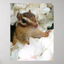 Hydrangea and Chipmunk (2) プリント