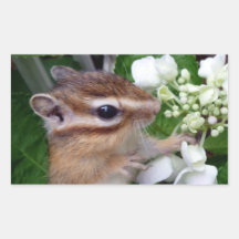 Hydrangea and Chipmunk (3) 長方形シール・ステッカー