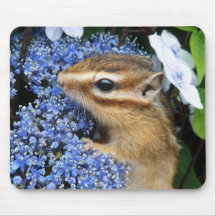 Hydrangea and Chipmunk (4) マウスパッド