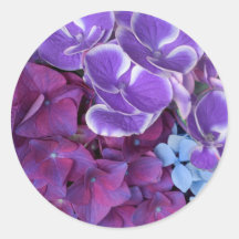 Hydrangea Blossoms Sticker