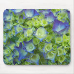 Hydrangea Buds Mousepad