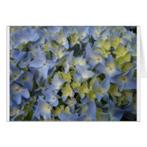Hydrangea Carte De Vœux