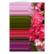 Hydrangea card