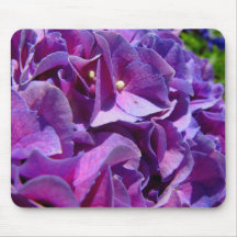 Hydrangea Close Up Image Mouse Pads