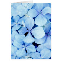Hydrangea closeup card