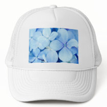 Hydrangea closeup hats