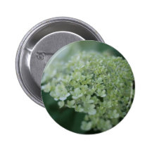 Hydrangea - Fine Art Photography Pins