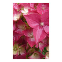 Hydrangea in pink custom stationery