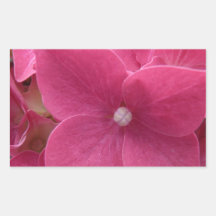 Hydrangea in Pink Rectangular Stickers