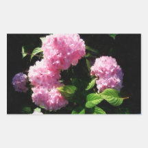 Hydrangea in Sunshine Rectangular Sticker