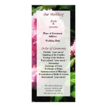 Hydrangea in Sunshine Wedding Program Rack Card