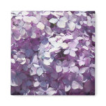 Hydrangea Fridge Magnets