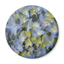 Hydrangea Magnets