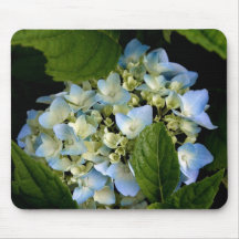 Hydrangea mouse pad