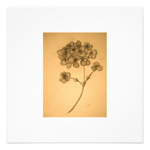 Hydrangea muted Invitation/card