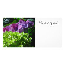 Hydrangea Photo Card