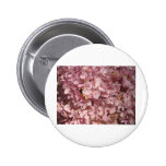 Hydrangea pink buttons