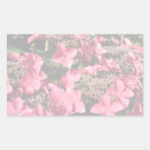 Hydrangea. Pink flowers. Soft Pastel Colours. Rectangular Stickers