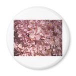 Hydrangea pink magnets
