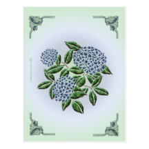 Hydrangea Postcard