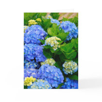 Hydrangeas Greeting Cards
