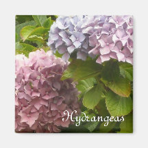 Hydrangeas Fridge Magnets
