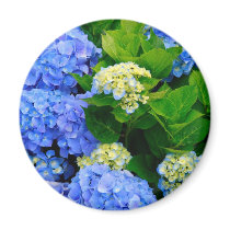 Hydrangeas Fridge Magnets