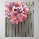 hydrangeas on a 1915 book poster