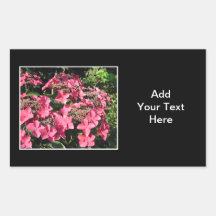 Hydrangeas. Pink Flowers on Black. Sticker