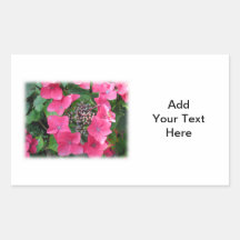 Hydrangeas. Pink Flowers. White. Rectangle Sticker