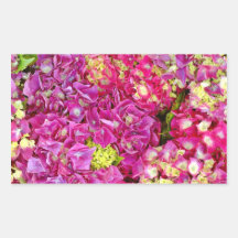 Hydrangeas Rectangle Sticker