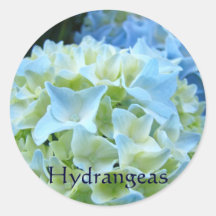 Hydrangeas stickers Summer Blue Hydrangea Flowers