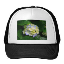 Hydrangeas Trucker Hats