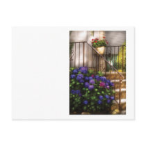Hydrangia and Geraniums Postcards