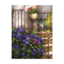 Hydrangia and Geraniums Postcard