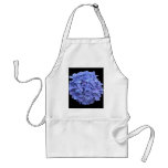 Hydrengea Aprons