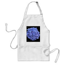Hydrengea Aprons