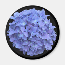 Hydrengea Refrigerator Magnet