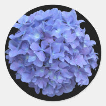 Hydrengea Stickers