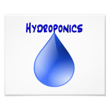 Hydroponics blue letters with blue drop graphic art photo