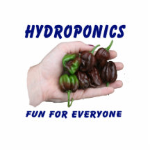 Hydroponics Fun Chocolate Habanero Peppers Photo Cut Outs