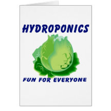 Hydroponics Fun For Everyone Lettuce Design Cards