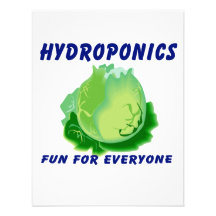 Hydroponics Fun For Everyone Lettuce Design Announcements