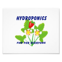 Hydroponics Fun For Everyone Strawberries Art Photo